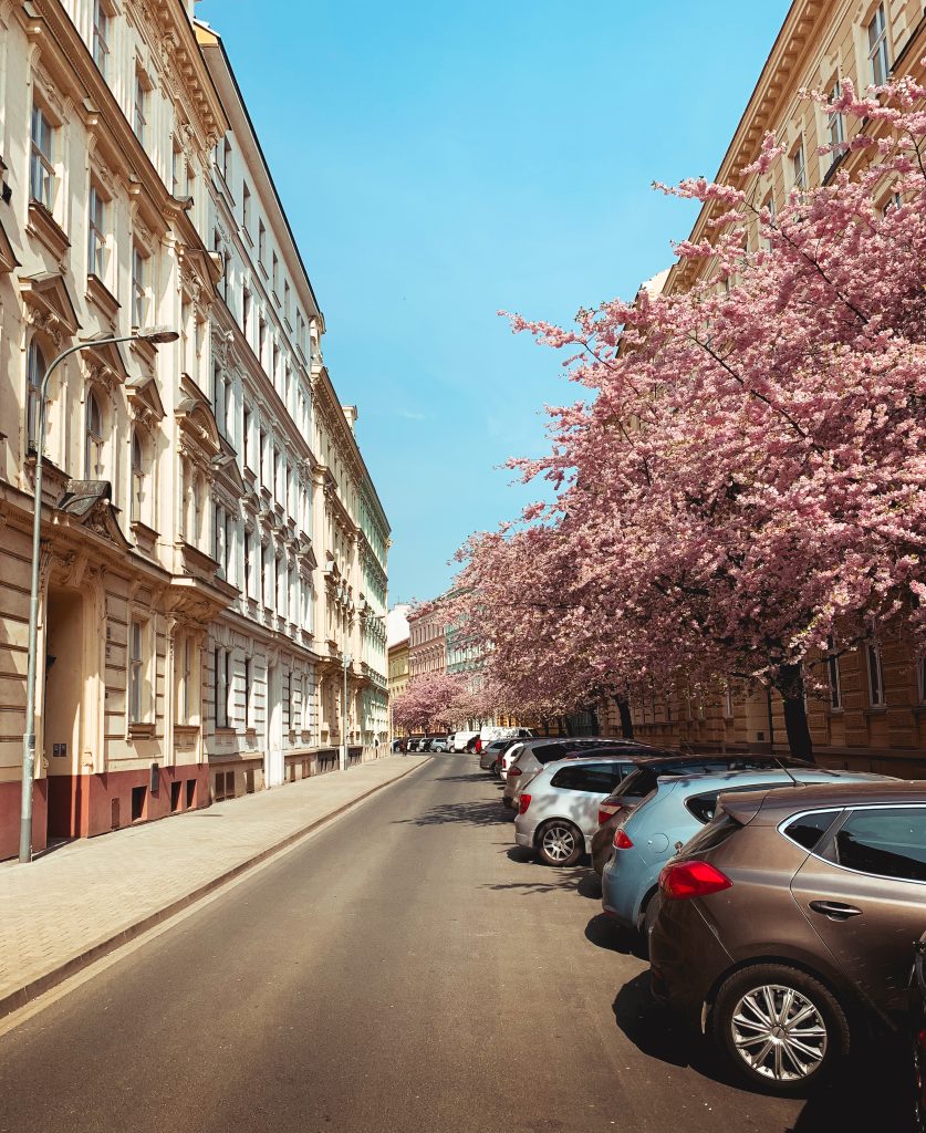 Brno